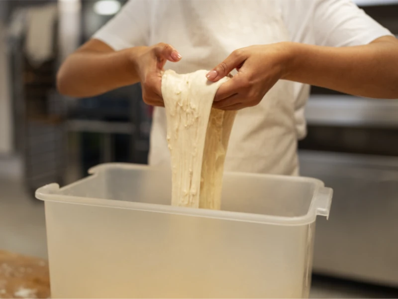 contenedor de alimentos